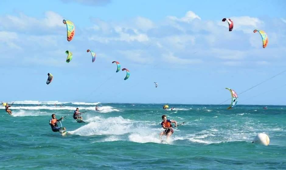 Oasis Kite *